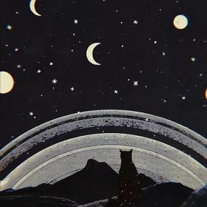 国产特黄刘涛性爱视频
